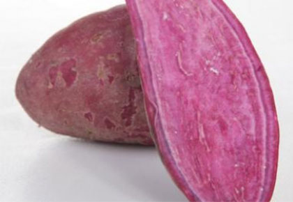 地瓜小紫薯农家番薯